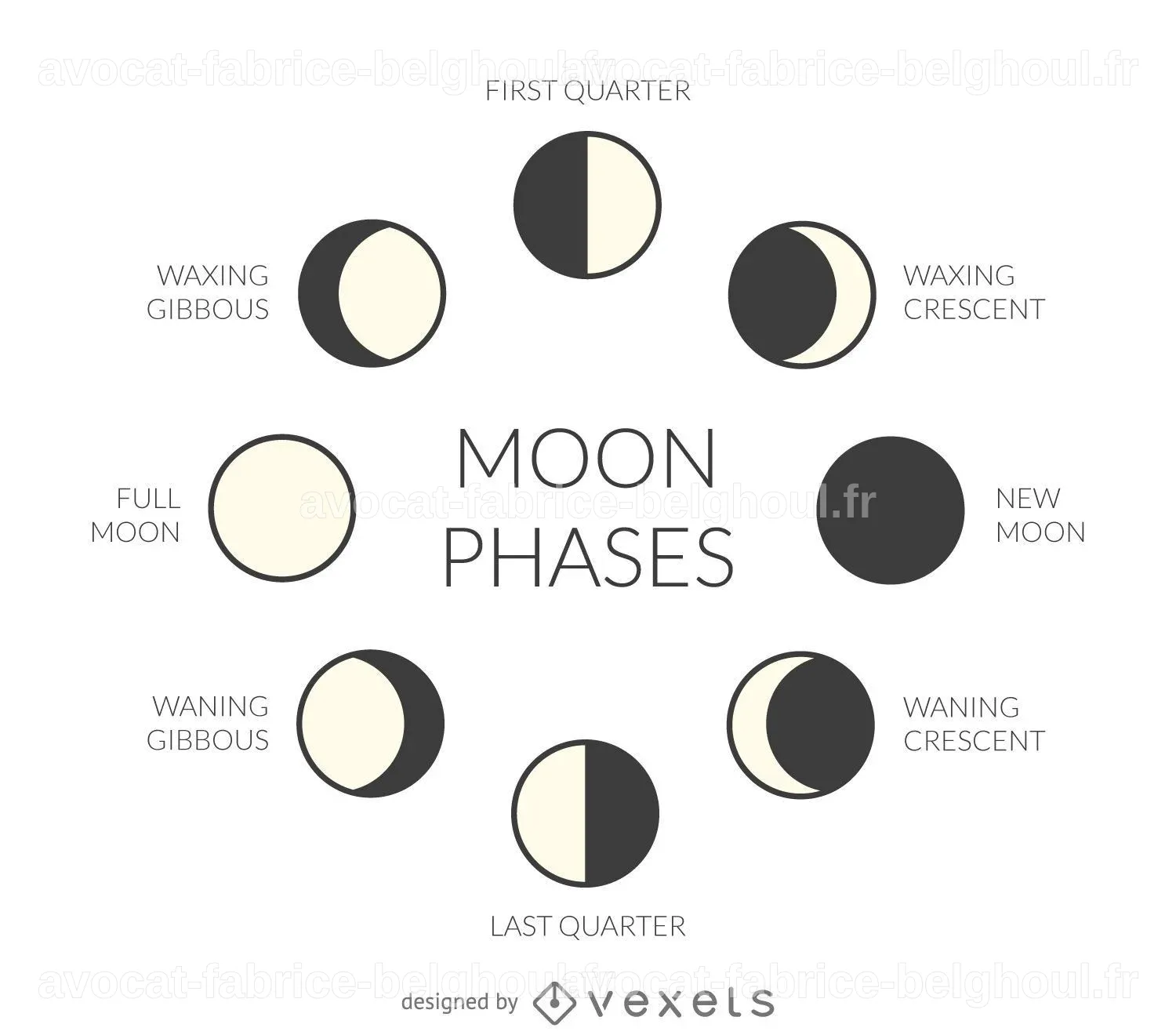 Illustration vectorielle des phases lunaires.