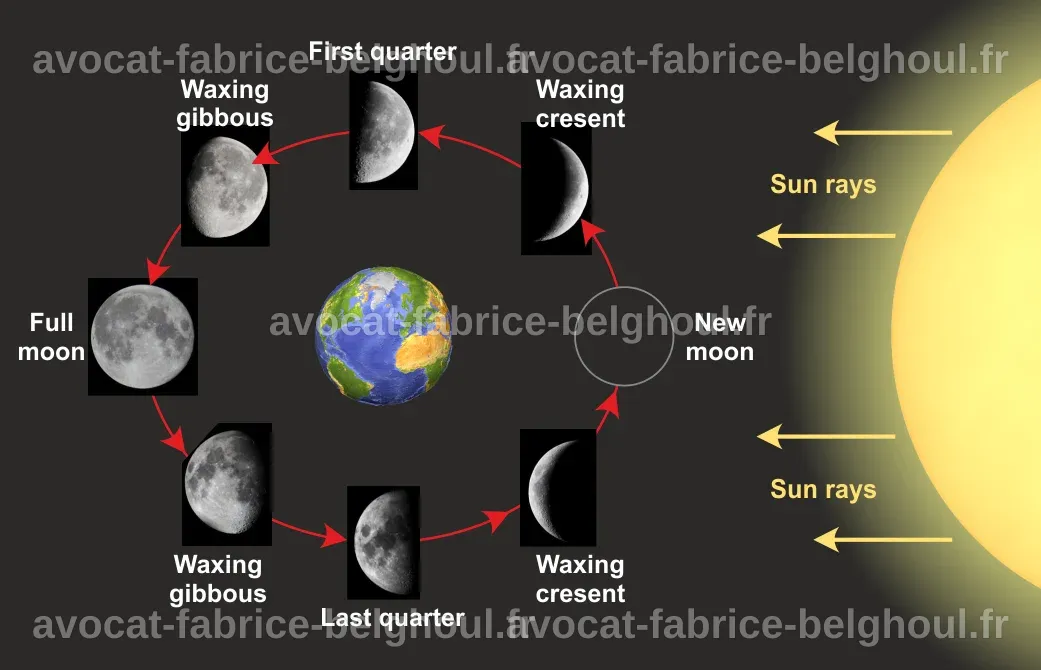 Schéma vierge des 8 phases de la lune.