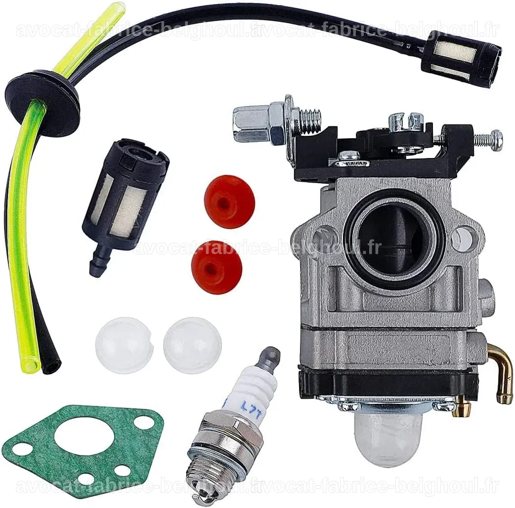 Carburateur pour débroussailleuse, avec kit de joints et accessoires visibles.